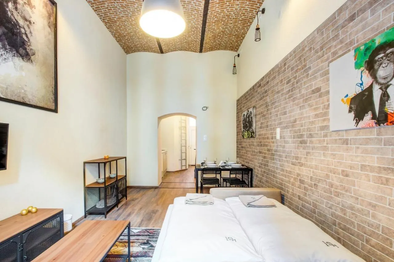 布达佩斯D.Five Jewish Quarter Loft公寓 公寓